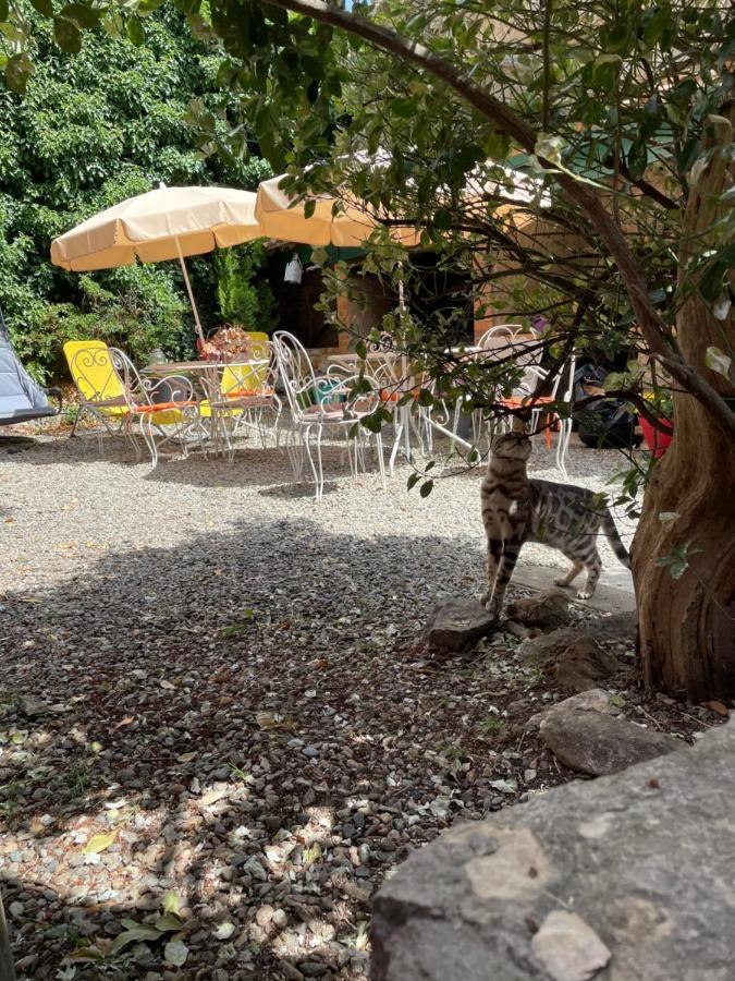 Auberge De Cucugnan بيربينيو المظهر الخارجي الصورة