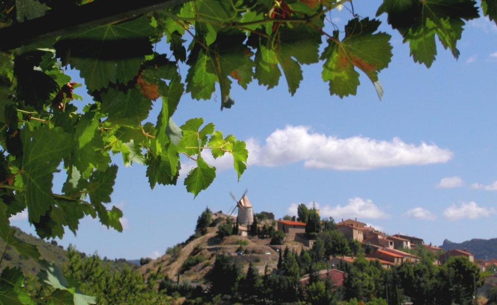 Auberge De Cucugnan بيربينيو المظهر الخارجي الصورة